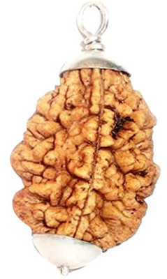 numeroastro Natural & Original 2 Mukhi Rudraksha | Two Faced Rudraksha Pendant With Lab Certificate (White Metal Pendant) (1 Pc) Silver Wood Pendant