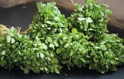 MAA Fenugreek, Methi Seed(230 per packet)
