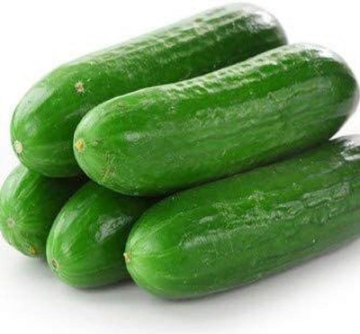 MKR Enterprises Cucumber Seed(70 per packet)