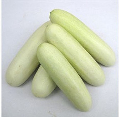 MKR Enterprises Cucumber Seed(70 per packet)