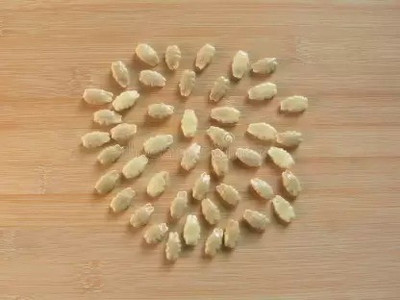 MAA Snake Gourd, Chichinda Seed(31 per packet)