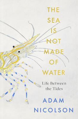 The Sea is Not Made of Water(English, Paperback, Nicolson Adam)