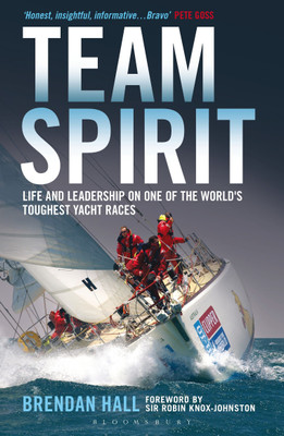 Team Spirit(English, Paperback, Hall Brendan)