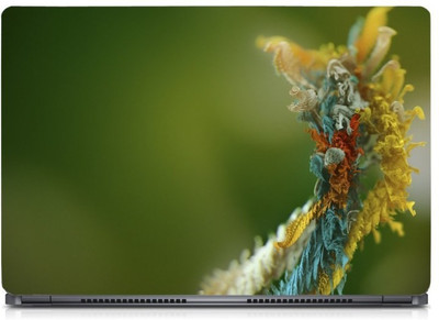 i-Birds Animal Macro Photography Exclusive High Quality Laptop Decal, laptop skin sticker 15.6 inch (15 x 10) Inch iB_skin_0418new High Quality HD Printed Vinyl Laptop Skin Compatible for 15.6 inch(Theme: Nature)