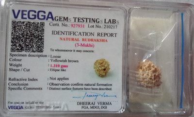 Vegga 3 mukhi natural rudraksha / 3 mukhi vegga Wood