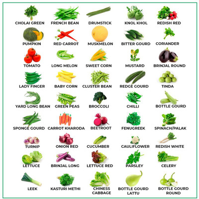 Greenery Hub 45 Varieties Vegetable Seeds Organic Seeds Combo Pack Seed(2700 per packet)