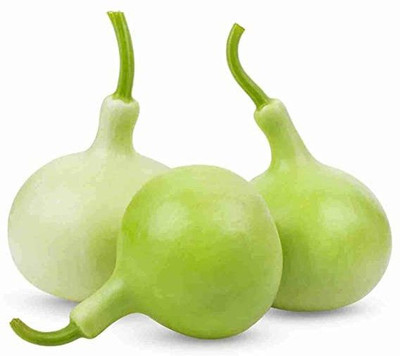 DIVINE SPONGE GOURD Seed(70 per packet)