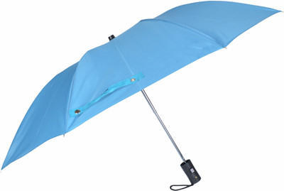 Flipkart SmartBuy 2 fold Auto Open Polyester Umbrella(Blue, Silver)