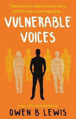 Vulnerable Voices(English, Paperback, Lewis Owen B)
