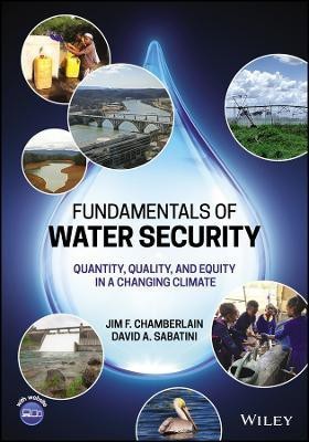 Fundamentals of Water Security(English, Paperback, Chamberlain Jim F.)