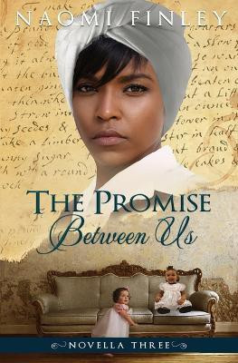 The Promise Between Us(English, Paperback, Finley Naomi)