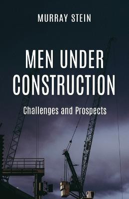 Men Under Construction(English, Paperback, Stein Murray)