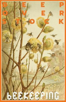 Deep Overstock Issue 17(English, Paperback, unknown)