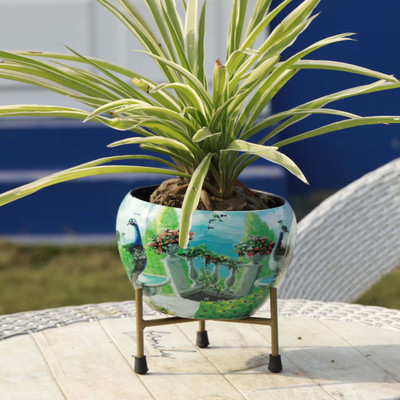 Advi Designer Table Top Flower Pot with Stand for Indoor T9, Pack of 1,Multicolor Plant Container Set(Metal)
