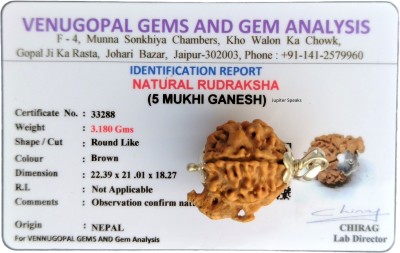 jupiter speaks 5 Mukhi Ganesh Rudraksha 22mm Nepali With Lab Certificate Natural Brown Unisex Silver Wood Pendant