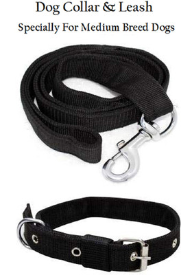 AFLOTO (MEDIUM) BLACK COLOUR DOG BELT NYLON Dog Collar & Leash(Medium, BLACK)