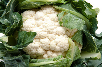 ANDOR गोभी Cauliflower Phool Gobhee/Phul Gobhi Seed(100 per packet)