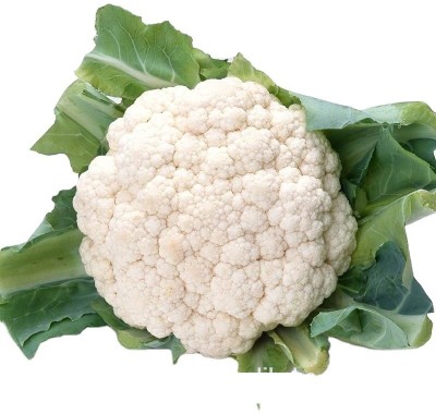 Farmonix Longleaf Cauliflower Green leaf Vegetable Seed(500 per packet)