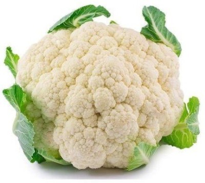 ANDOR Snowball Cauliflower,फूल गोभी Seeds Seed(2000 per packet)