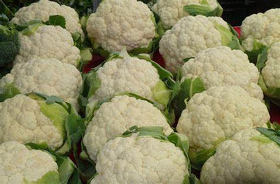 Farmonix Cauliflower good quality Seed(200 per packet)