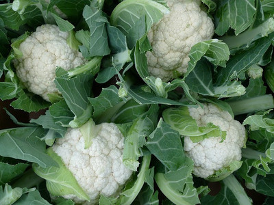 ANDOR Cauliflower Seed(2000 per packet)