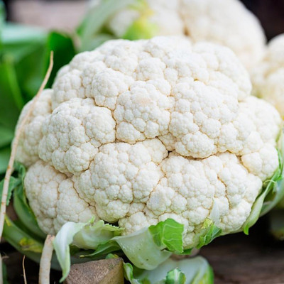 ANDOR Organic cauliflower Seed(100 per packet)
