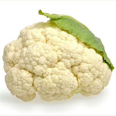 Farmonix Organic white cauliflowe फूल गोभी Seed(1000 per packet)