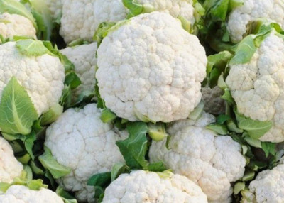 ANDOR Cauliflower Phool Gobhee/Phul Gobhi गोभी Seed(2000 per packet)