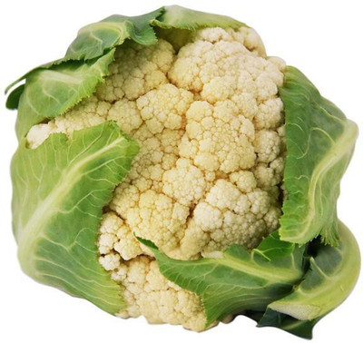ANDOR Snowball Cauliflower,फूल गोभी Seeds Seed(2000 per packet)