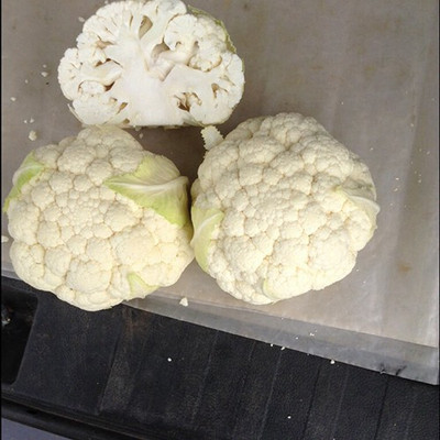 ANDOR Cauliflower – Monarch Seed(2000 per packet)