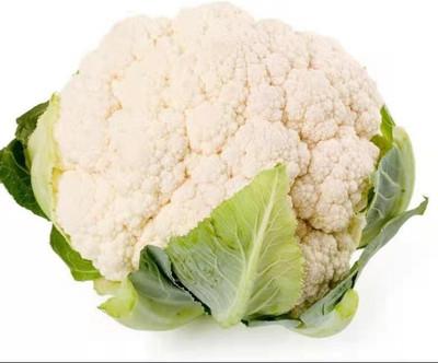 ANDOR Smooth Skin Cauliflower Seed(1500 per packet)