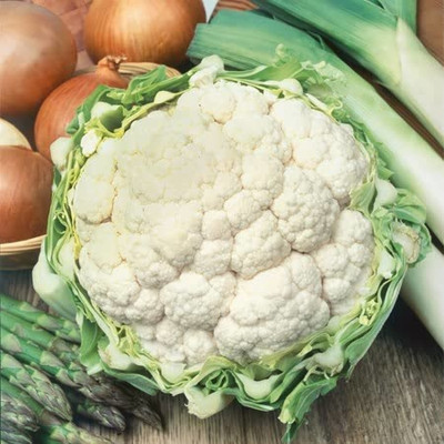 Farmonix Cauliflower Seeds - Jerome Seed(500 per packet)