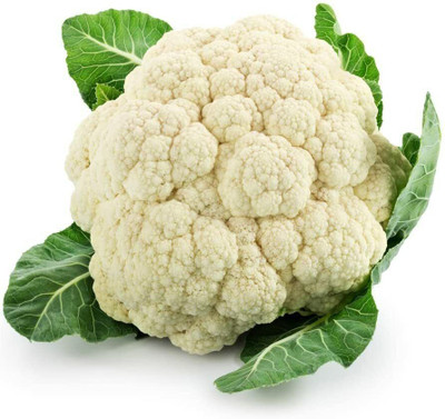 ANDOR Early Snowball A Cauliflower Seed Seed(800 per packet)