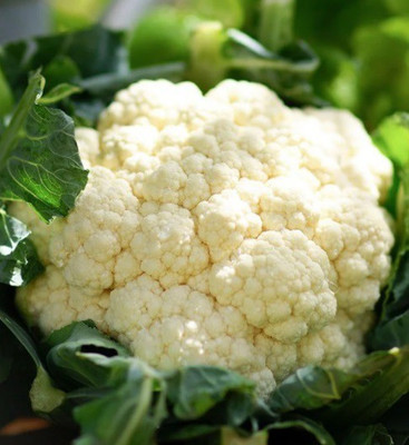 Avysa Phool Gobhi Cauliflower Seed(100 per packet)