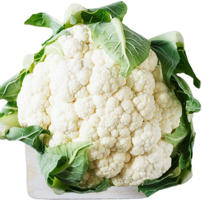 ANDOR cauliflower Gobhi Seed(2000 per packet)