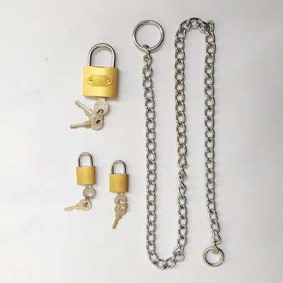 Any Fashion 3 foot chain + 1 medium size lock with 3 keys + 2 small locks with 2 keys each Chain Lock(metallic)