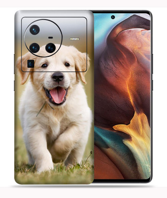 WeCre8 Skin's Vivo X80 Pro 5G Mobile Skin(Baby Labradoor Multicolor Mobile Skin With Cleaning Wipes)