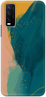 NDCOM Back Cover for Vivo Y20G Color Pattern Printed(Multicolor, Hard Case, Pack of: 1)