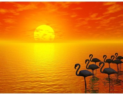 Pitaara Box 81.28 cm Sunset And Flamingos Unframed Glossy PVC Vinyl Wall Sticker Decal Self Adhesive Sticker(Pack of 1)