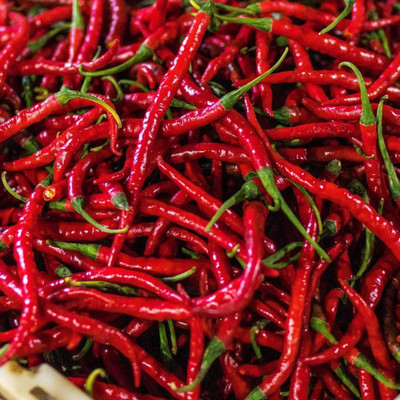 WILLVINE VXI-94 Non-GMO Cayenne Pepper Chilli Seeds Seed(200 per packet)
