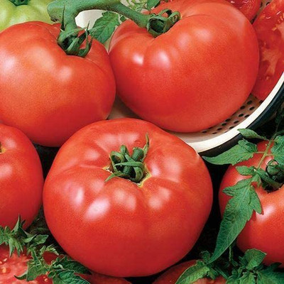 Biosnyg ™NDIR-347 Chef's Choice Red Hybrid Tomato Seed(200 per packet)