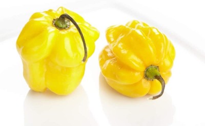 Biosnyg ™VAR-447 Lemon Habanero Chilli Seed(200 per packet)