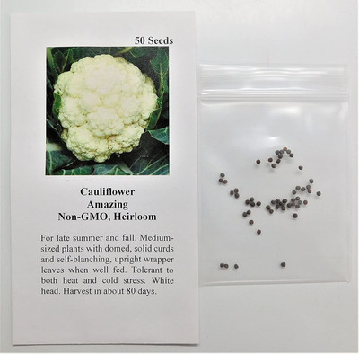 CYBEXIS XLL-52 - Cauliflower Amazing (White) - (150 Seeds) Seed(150 per packet)