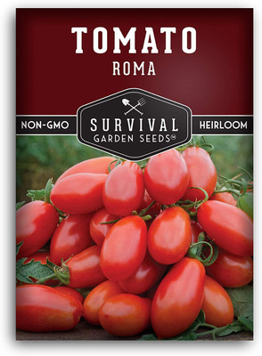 CYBEXIS GUA-66 - Roma Tomato - (1350 Seeds) Seed(1350 per packet)