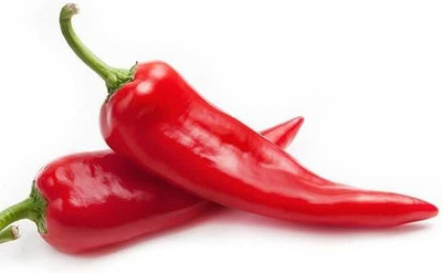 WILLVINE TLX-966 Corno Di Toro Red Pepper Chilli Seeds Seed(200 per packet)