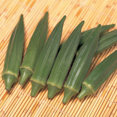 VibeX VXI-36 - Jambalaya Okra - (1350 Seeds) Seed(1350 per packet)