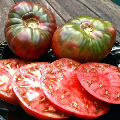 CYBEXIS VXI-19 - Tomato - Cherokee Purple Slicing - (1350 Seeds) Seed(1350 per packet)