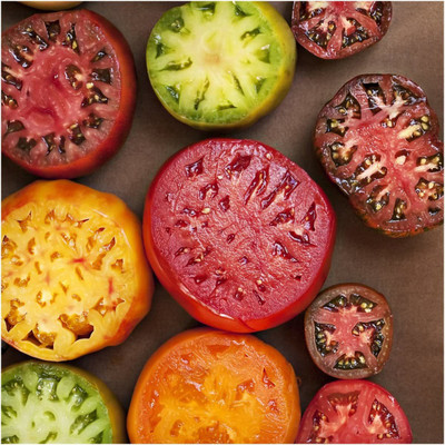 VibeX ® XXL-767 Tomato Seeds Rainbow Blend Seed(200 per packet)