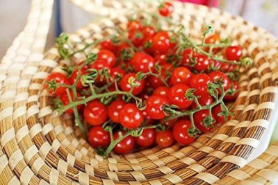 VibeX ® VMR-602 Cherry Sugar Sweetie Tomato Seeds Seed(200 per packet)