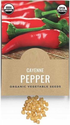 CYBEXIS XL-97 - Cayenne Pepper Chilli - (1350 Seeds) Seed(1350 per packet)